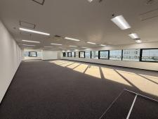 ＴＨＥ　ＰＥＡＫ　ＳＨＩＮＳＡＩＢＡＳＨＩ