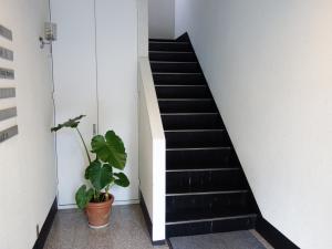 波多野ビル階段