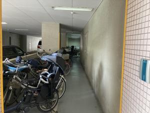 フレンテ西館　駐輪スペース