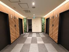 ＴＨＥ　ＰＥＡＫ　ＳＨＩＮＳＡＩＢＡＳＨＩ