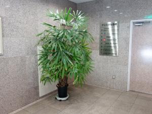 クリスタル豊崎ビル共用部