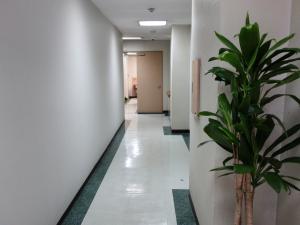 本町新興産ビル共用部