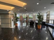 オークプリオタワー