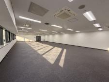 ＴＨＥ　ＰＥＡＫ　ＳＨＩＮＳＡＩＢＡＳＨＩ