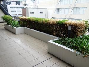 心斎橋Ｍ＆Ｍビルベランダ