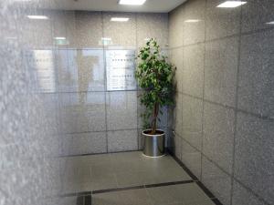 フジビル共用部