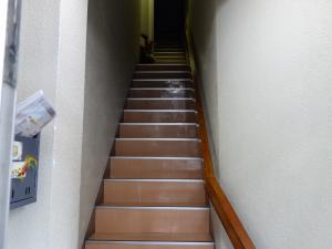 清水ビル階段