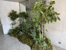 ソフィア大手前１階共用部